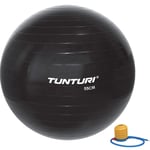 Gymboll Tunturi 55 cm Svart