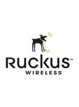 Ruckus from 2x1 GbE SFP to 2x10 GbE SFP+ uplink ports