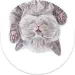 Popsockets Cat Nap, E-Bokläsare, Mobiltelefon / Smartphone, Surfplatta/Umpc, Passiv Hållare, Bil, Inomhus, Utomhus, Multifärg
