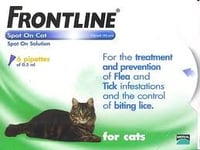 Frontline Spot On puces Gouttes – Chats Chatons Lot de 12 pipettes (2 x 6) par chat noir médicaments