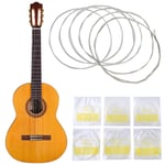 Gitarrsträngar Nylon .028-043 - Akustisk gitarr strängar