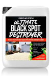 Ultimate Black Spot Remover Destroyer Patio Cleaner 1 x 5L