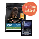 Large Robust Puppy Healthy Start Torrfoder med Kyckling + 7-pack FortiFlora - Torrfoder 12 kg + 7-pack FortiFlora