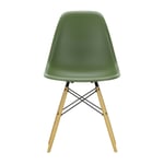 Vitra Eames Plastic Side Chair RE DSW stol 48 forest-golden maple