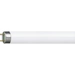 Philips Master TL-D Super 80 Lysrör T8, 151 cm, 58W, 2700K