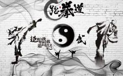 Muzemum Tai chi martial arts background wall 3D Wallpaper TV Living Room Sofa Customized Large Mural Wallpaper For Walls Paper -157.48 x 110.23 inch /400cm x 280cm