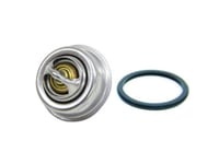 Orbitrade Termostat 60Gr.2001,2002,2003 Salt.V.K