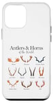 Douze cornes et bois uniques - Bois de cerf Coque pour iPhone 12 mini