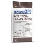 Forza 10 Active Line Intestinal Colon Phase 1 med fisk - Ekonomipack: 2 x 4 kg