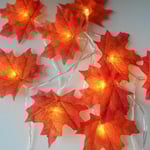 Ljusslinga Höstlöv / LED-slinga - Batteridriven Orange