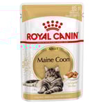 Ekonomipack: Royal Canin våtfoder 96 x 85 g - Breed Maine Coon i sås