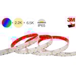 LightMore LED-remsa 5M 24W/meter RGBCTA