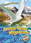 Kari Schuetz - Arctic Tern Migration Bok
