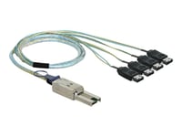 Delock - Sata/Sas-Kabel - 4-Vägs - Esata (Hona) Till 26-Pin 4X Skärmad Mini Multilane Sas (Sff-8088) (Hane) - 1 M