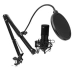 USB Condenser Microphone, USB Microphone Kit for Professional Sound Recording Vocal Recording Equipment, Streaming Gaming and Video Shooting with Tripod and Filter