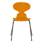 Fritz Hansen - Myran 3101 lackad bokfanér stålstativ varm grafit burnt yellow - Matstolar - Arne Jacobsen - Gul - Metall/Trä