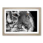 Big Box Art Eyes of The Tiger in Abstract Framed Wall Art Picture Print Ready to Hang, Oak A2 (62 x 45 cm)