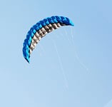 Kwasyo 2.5m Deux Ligne Parapente Cerf-Volant avec Manette 30m,Cerf-Volant pour Le Sport en Plage,Jeux de Plein air dans Le Jardin