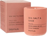 Blomus Fraga Scented Candle Withered Rose S, Soy Wax Candle in Concrete Look