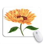 Gaming Mouse Pad Watercolor Drawing of Vibrant Golden Yellow Sunflower on White Nonslip Rubber Backing Computer Mousepad for Notebooks Mouse Mats