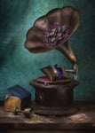 The Life Of A Gramophone Poster 30x40 cm