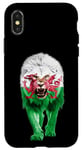 iPhone X/XS Wales UK Flag Lion Pride Wales UK Gifts Love Wales Souvenir Case