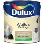 Dulux Walls & Ceilings Silk Emulsion Paint Wild Wonder - 2.5L