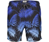 Egan Tropics Volley badshorts Herr BLACK XXL