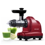 Axis 150W Masticating Cold Press Juicer