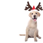 Jul Hund Älg Ren Antler Huvudband Tomteluva Mössa Husdjur Juldräkt Huvudbonad Justerbara Tillbehör för Katt och Valp Liten Hund
