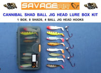 SAVAGE GEAR 6.8cm CANNIBAL SHAD BALL JIG HEAD HOOK 1/0 LURE BOX KIT PIKE BASS