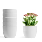 T4U 12CM Self Watering Planters Plastic White Set of 6, Modern Round Flower Pot Indoor Nursery Bonsai Plant Pot for Garden House Plants, Aloe, Herbs and More