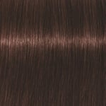 Professional Igora Vibrance Kit 4-68 Medium Brown Chocolate Red
