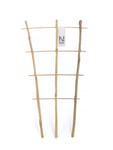 Nelson Garden Krukspaljé bambu, 45 cm
