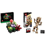 LEGO 76217 Marvel I am Groot Buildable Toy, Guardians of the Galaxy 2 Set & 10309 Icons Succulents Artificial Plants Set for Adults, Home Décor, Creative Hobby Gift Idea, Botanical Collection