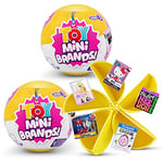 5 Surprise Toy Mini Brands Série 3 Mystery Capsule Real Miniature Brands Jouet à collectionner (lot de 2)