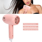 (Pink)1000w Mini Hair Dryer Blow Dryer Electric Hair Drying Tool GSA