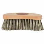 Mankborste Borstiq PP 17,5cm