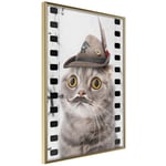 Plakat - Cat In Hat - 20 x 30 cm - Guldramme
