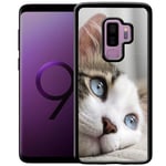 Samsung Galaxy S9+ Mobilskal Cat With Beautiful Blue Eyes