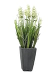 EUROPALMS Lavender, artificial plant, cream, in pot, 45cm, Europalms Lavendel, i kruka, krämfärgad, 45cm