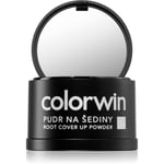 Colorwin Powder hiuspuuteri volyymin parantamiseen ja harmaiden peittämiseen sävy Dark Brown 3,2 g