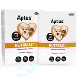 Aptus Nutrisal Vätskeersättning djur 250 g