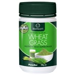 Lifestream Organic Wheat Grass Powder - 100g - Best Before Date is 31s