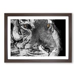 Big Box Art Eyes of The Tiger in Abstract Framed Wall Art Picture Print Ready to Hang, Walnut A2 (62 x 45 cm)