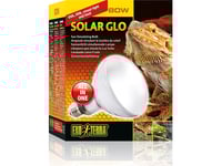 Exo Terra Solar Glo 80W Glödlampa