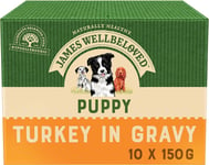 James Wellbeloved Puppy Turkey in Gravy 10 Pouches, Hypoallergenic Wet Dog Food,