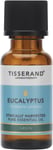 Tisserand Aromatherapy Eucalyptus Ethically Harvested Pure Essential Oil 20ml