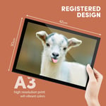A3 Glass Frame - Baby Goat Animals Pets Farm Art Gift #3670