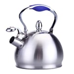 Stainless Steel Whistling Tea Kettle, Mirror Finish Tea Pots, 2.5 Liters, Lightweight Fast Boiling Hot Water Kettle, Folding Handle, Straight Pour Spout, Large Capacity